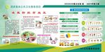 国家基本公共卫生服务项目