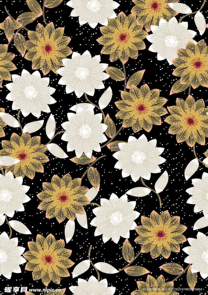 菊花