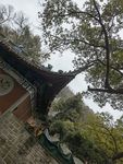寺庙一角中国传统建筑自然与建筑