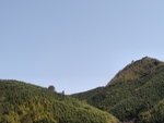 高山