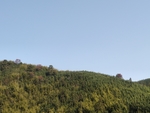 高山