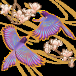 情人节