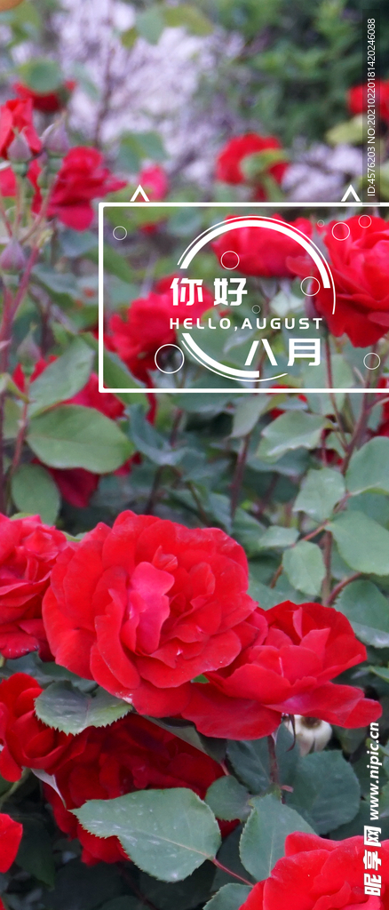 情人节
