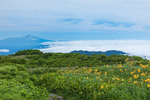 山