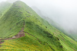 山