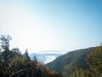 山