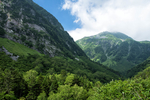 山