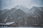 山