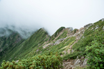 山