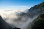 山