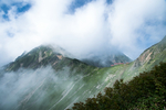 山