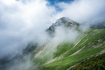 山
