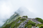 山