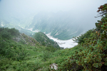 山