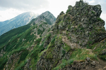 山