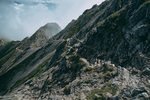山