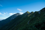 山