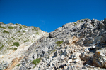 山