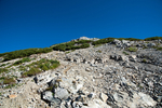 山
