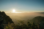 山