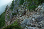 山