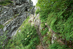 山