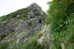 山