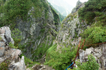 山