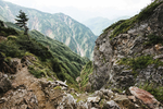 山