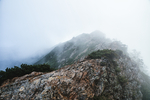 山