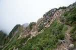 山