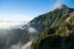 山