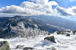 山