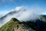 山