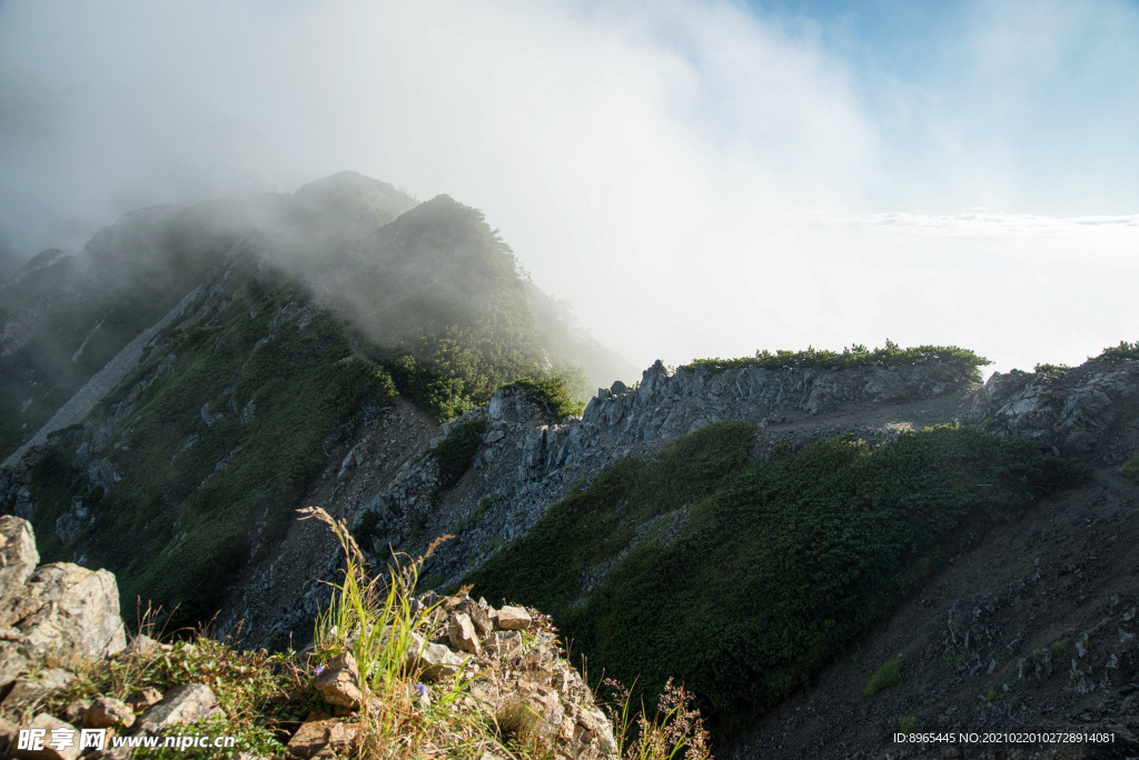 山