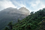 山
