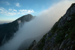 山