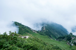 山