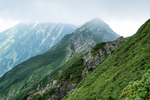山