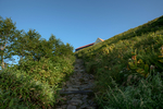 山