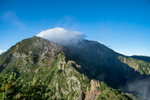 山