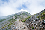 山