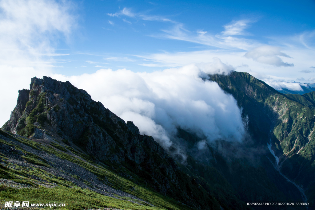 山