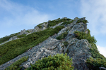 山