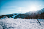 山