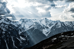 山