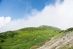 山