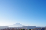 山