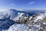 山