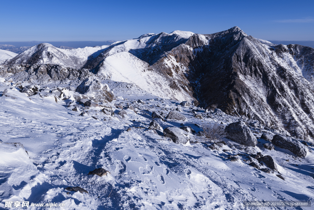 山